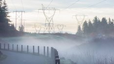 Цените на тока за бита в ЕС растат през първото полугодие, но на газа падат