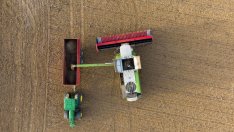 Водещите световни износители на пшеница ограничават износа