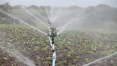 С 5 млн. лв. са нараснали задълженията на "Напоителни системи" за 8 месеца