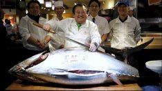 Японски "крал на сушито" се сдоби с риба тон за 108 500 евро