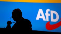 Има ли бъдеще пред "Алтернатива за Германия"?