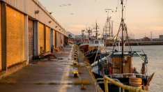 Макрон подготвя почвата за компромис за Brexit в областта на рибарството