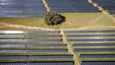 Северна Македония отчита рекорд в лицензирането на проекти за възобновяема енергия