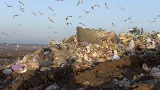 Българинът плаща по няколко пъти за липсата на депозитна система за опаковки