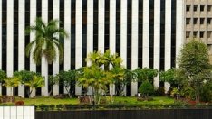 Зелените покриви засега привличат малцина богати българи