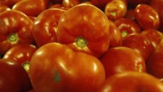 Москва попари турските надежди за бързо падане на ограничения