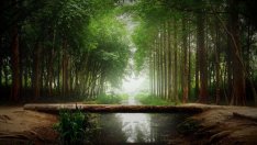 ЕК ще предложи законодателство за възстановяване на природата