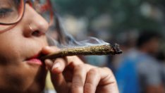 Защо Амстердам завижда на процъфтяващия „зелен“ бизнес в САЩ?