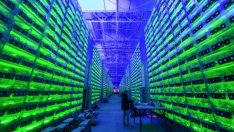 Манията по биткойна започва да отслабва