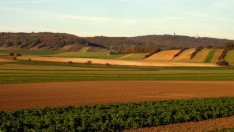 Депутати гласуваха нови изменения в Закона за ползването на земеделските земи