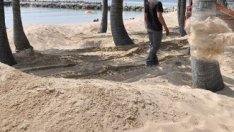 Хотелиери предлагат мерки, гарантиращи спокоен отдих в курортите