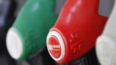 Еко България ще инвестира до 9 млн. евро в страната ни през 2018 г.