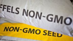 Експерт: Новите геномни техники не означават ГМО