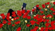 КЗП забрани на онлайн магазин да заблуждава за количествата промоционални стоки