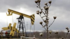 ЕЛАНА: Суровините са водеща инвестиционна възможност в идните 5 години