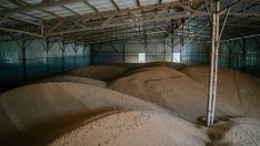 Румънските пристанищни оператори бързат да повишат капацитета си за обработка на зърно