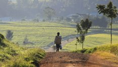 ООН: Богатите държави са далеч от справянето с бедността и неравенството