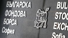 437%, 183%, 154%  - с толкова поскъпват българските борсови шампиони