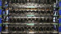 Криптовалутата шиба ину вече е 12-а по пазарна капитализация