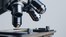 Как AI помага в биопринтерното тъканно инженерство и персонализираната медицина?