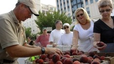 Фермери очакват с 30% по-нисък добив на праскови в страната