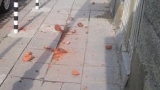 А. Христов: Държавата не трябва да плаща щетите от земетресения