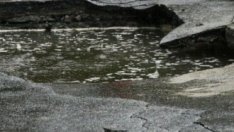 България изостава от целите си за пестене на енергия