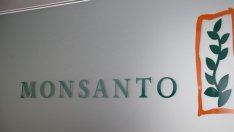 Monsanto отклони и по-високата оферта на Bayer