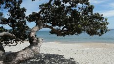 Одобрението на нови плажове за природосъобразен туризъм е под въпрос