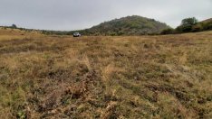 Финансираните сделки за полугодието на „Елана Агрокредит“ падат наполовина 