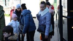 Половината от украинците у нас готови да започнат работа