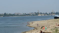 Система за 1,3 млн. евро ще контролира популацията на комари край Дунава