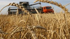 Русия отменя данъка върху износа на зърно