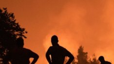 Гърция прие закон за климата, забранява колите с фосилни горива от 2030 г.