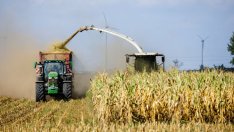 От пивоварите до животновъдите: Кризата с торовете в Европа разтърсва хранителната верига