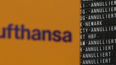 Стачкуващият жерав*