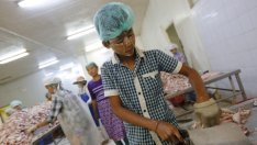 168 млн. деца по света стават обект на трудова експлоатация годишно