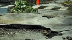 Общините са издължили 17 млн. лв. по санкции от програма „Околна среда"