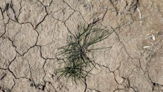 Най-лошият климатичен сценарий на McKinsey