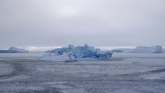 Климатичните промени раждат неочаквани явления