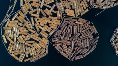 Тръмп наложи мита от 10% върху вноса на дървен материал и 25% за шкафове и мебели