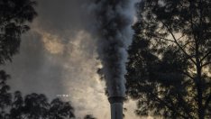 Новата мръсна дума в корпоративна Америка: ESG