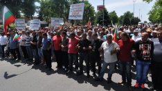 Животновъди протестираха в Димитровград заради изкупните цени на млякото