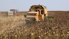 Земеделци от Източна Европа очакват опростена селскостопанска политика