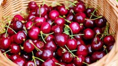 Цените на сезонните плодове се понижават