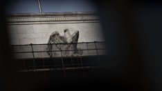 Фед прие нови правила за стрес тестовете на банките