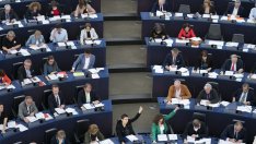 Ще падне ли европейската крепост на Зелените?