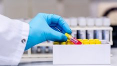 Може ли медикамент срещу краста да помага за лечението на COVID-19