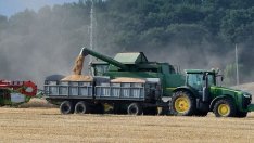 За една година пшеницата поскъпна със 17%