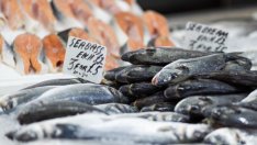 Търговията на дребно се е свила в еврозоната и в ЕС през февруари